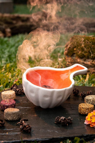 7 Days of Cleansing - Activated Tablets Assorted