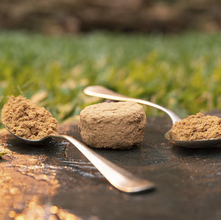 7 Days of Cleansing - Activated Tablets Assorted