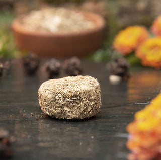 7 Days of Cleansing - Activated Tablets Assorted