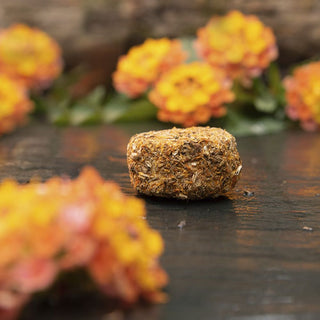 7 Days of Cleansing - Activated Tablets Assorted