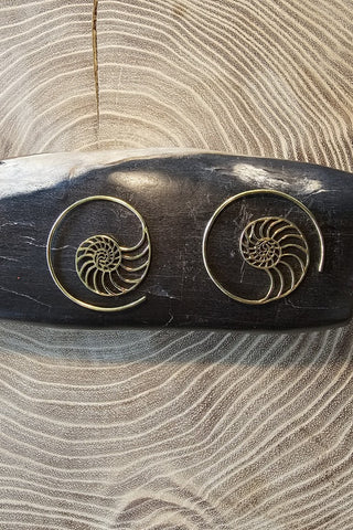 Ammonite Earrings Brass