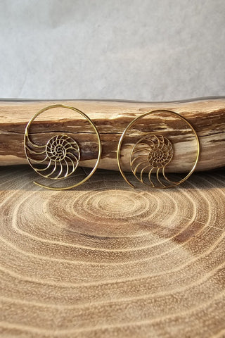 Ammonite Earrings Brass