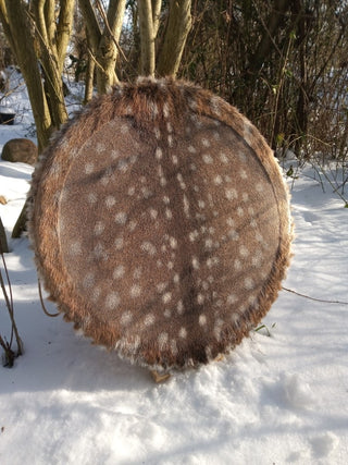 Fallow DeerDrum WinterCoat Burned