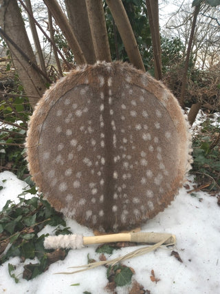 Fallow DeerDrum WinterCoat Burned