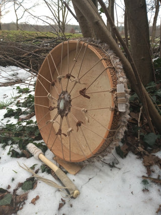 Fallow DeerDrum WinterCoat Burned