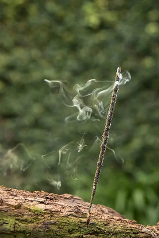 Olibanum (Frankincense) Incense