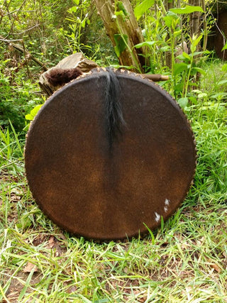 HorseDrum Manes Burned
