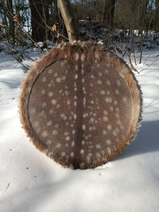 Fallow DeerDrum WinterCoat Burned