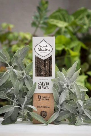 White Sage & Copal Incense