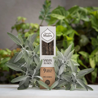 White Sage & Copal Incense