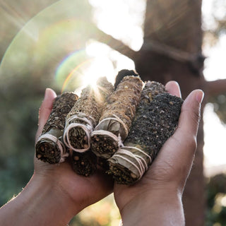 Sahumitos Smudge Sticks White Sage box of 5